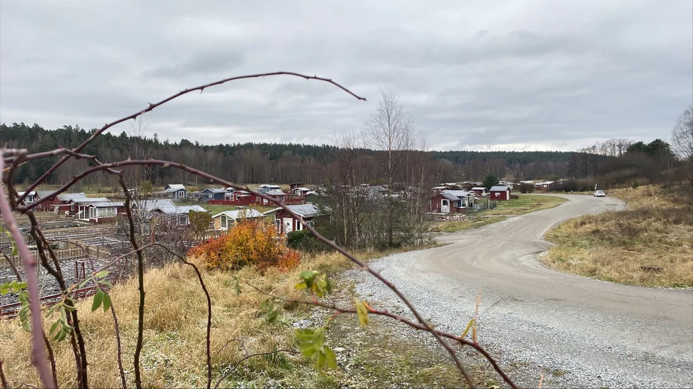 En ung man knivhöggs vid ett koloniområde utanför Valsta i Märsta. Nu har två män häktats misstänkta för gärningen. 