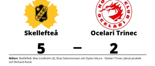 Seger för Skellefteå avgjorde matchserien