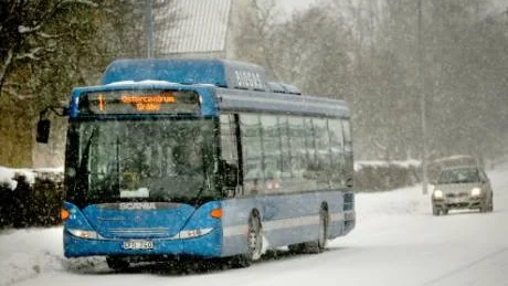 <7GT_Bildrubrik>Köldkänslig</7GT_Bildrubrik>. Två trasiga biogasbussar ställde till det i morgonrusningen i Visby i går. En av dem frös sönder i nattens kyla, och nu vidtar Gotlandsbuss åtgärder för att samma sak inte ska hända igen med de nästan nya bussarna.