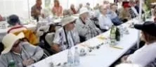 Firade trädgård med fest