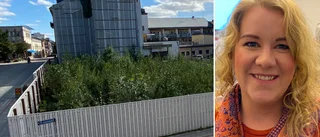 Socialdemokraterna vill ha ny byggare av Statt – nobbar Vi Invest