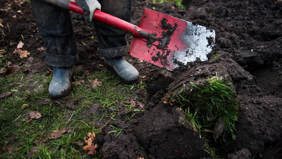 Removing the toxic soil will be very expensive.