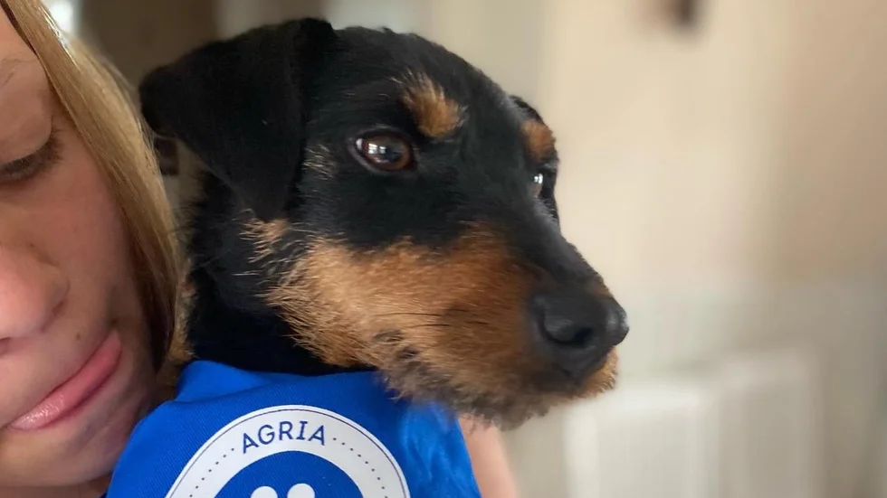 Hunden Peggy har varit försvunnen sedan i fredags.