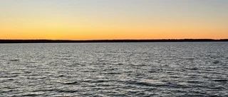 Läsarbild: Höstsolen har gömt sig bakom skogen
