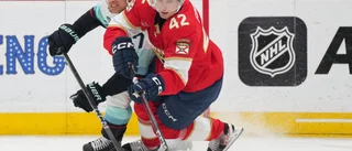 Fansen stöttade SHL-målvakten efter hatet