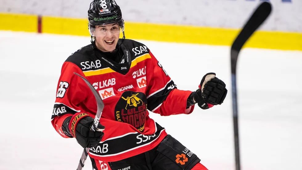 Radek Muzik, tidigare i Luleå Hockey, är klar för en allsvensk klubb.