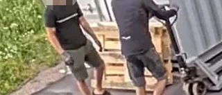 Här stjäl de 28 lastpallar – mitt framför övervakningskameran