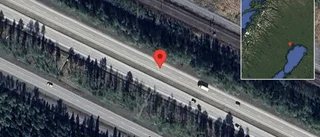 Just nu: Varning för djur på vägen på väg 97