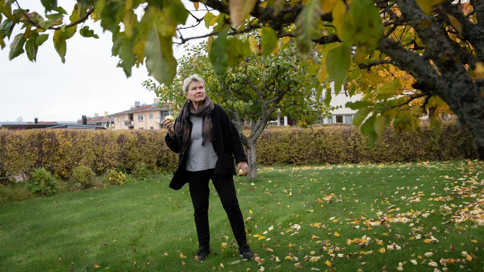 Kaisu Akselsdotter har använt grundläggande rättigheter på ett aktivt sätt och har på ett demokratiskt sätt försökt att skapa opinion för sin åsikt. Förgäves.