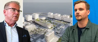 Hjalmarsson om företagets pressmeddelande: Jag blev förvånad