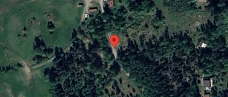 Träd över vägen påverkar trafiken på väg 1081