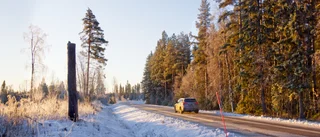 Skogen gör skillnad för Norrbottens beredskap