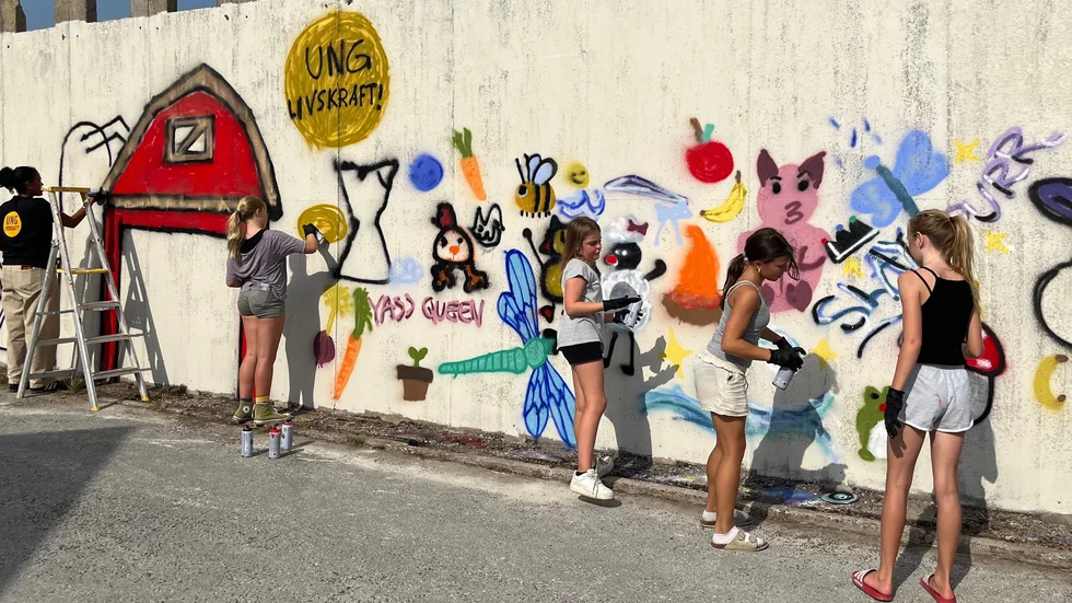 Under 2024 genomfördes "Ung Livskraft" med bland annat graffitimålning under Skördefestivalen. Nu går Leader Gutes satsning på unga vidare med ett stöd på 5,3 miljoner kronor från Arvsfonden.