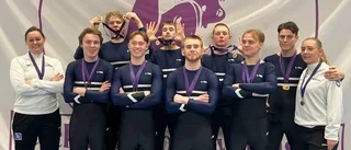 Visbygymnasternas herrtrupp tog guld i Stockholm