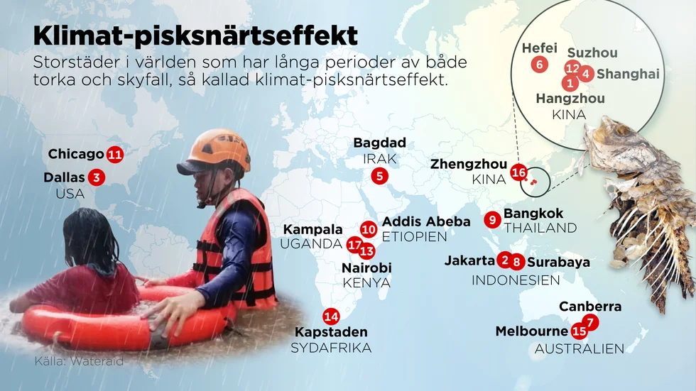 Storstäder i världen som har långa perioder av både torka och skyfall, så kallad klimat-pisksnärtseffekt.