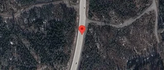 Stopp på väg 55 på grund av viltolycka med en personbil