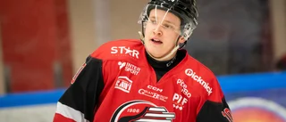 Piteå Hockeys poängkung ett frågetecken: "Vet inte än"