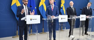 ”Hur S riggat systemet till sin fördel har hamnat i skymundan”