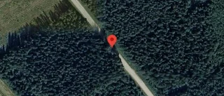 Problem i trafiken efter nedfallna träd på väg 769