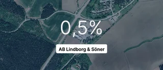 Vinst för AB Lindborg & Söner med knapp marginal