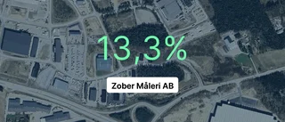 Zober Måleri AB: Här är de viktigaste siffrorna senaste året