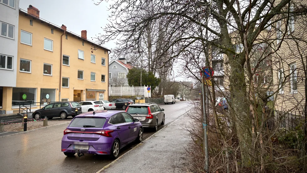 Sandgatan på Norr är en av platserna där kajorna mer än gärna bajsar på bilarna. 
