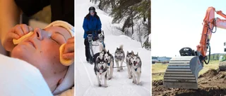 Norrbottens nya företag – från medicinsk fotvård till naturturism