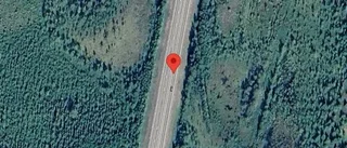 Varning för hundar på vägen på E4