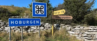 ”Stora delar av Gotland riskerar nu att stå utanför utveckling” 