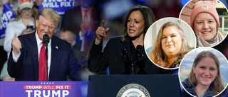 Election day: Skellefteå's Americans weigh in on Trump vs. Harris