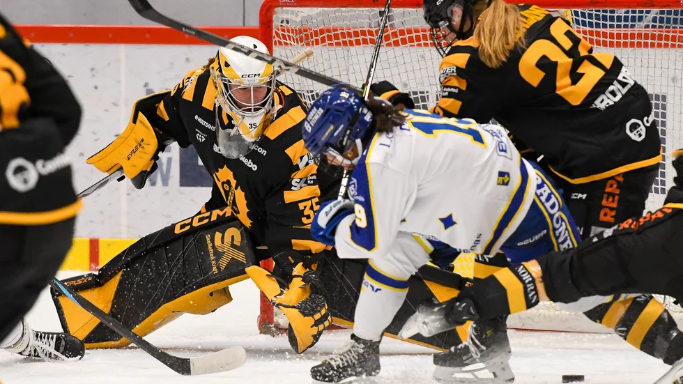 Camryn Drever fortsätter storspela i SDHL för Skellefteå AIK.