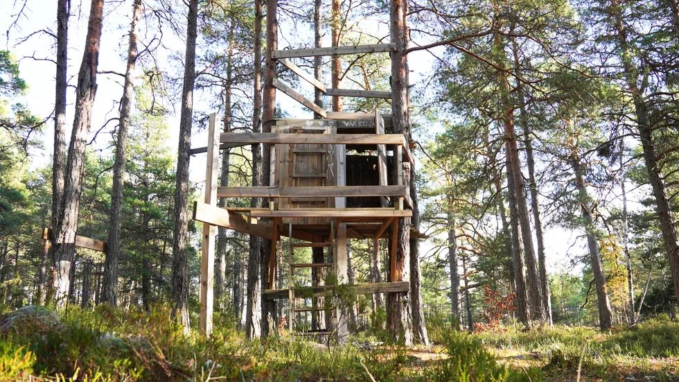 I dag är två kojor den enda bebyggelsen i skogen nära Folkparksvägen och Ljungbergaskolan. I framtiden kan här bli 200 bostäder.