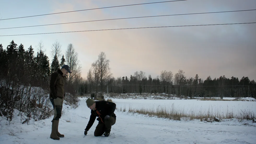 Staffan Claesson på Länsstyrelsen Sörmland samt yrkesjägaren Felix Eriksson spårar två vargar mellan Hälleforsnäs och Eskilstuna.