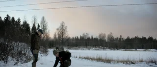 Tre kilometer i vargens spår – slaget rådjur och viloplatser i snön: "Har haft det ganska soft här"