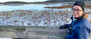 För långt till återvinningen? Avfall dumpades i naturreservat