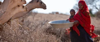 Miljoner hotas av svält på Afrikas horn
