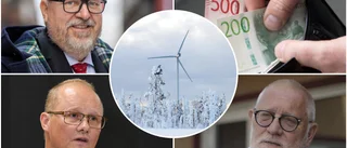 Kommuner vill ha högre ersättningsnivåer för vindkraften: ”I Finland och Norge är de 20–30 gånger högre”