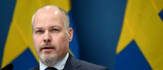Regeringens vapentrots kan bli en dyr affär i EU