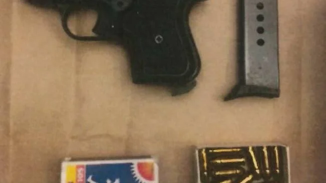 Pojken tog med sig en air gun pistol, som liknande en riktig pistol.  Vapnet på bilden är inte detsamma.