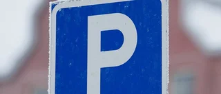 Ska kosta att parkera i hamnen