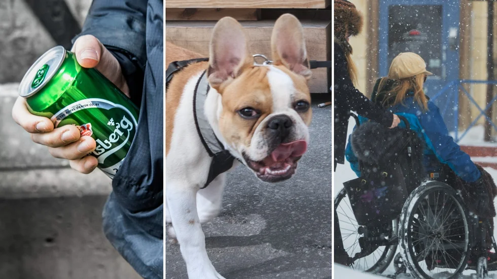 Utvidgade förbud för alkoholförtäring, alla hundar ska hållas kopplade på offentlig plats och skärpta krav på tillgänglighet är några nyheter i de nya ordningsföreskrifterna.