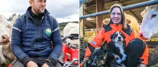 Maude och Elof vann utmärkelsen Årets bonde i Sverige • "Det är överväldigande"
