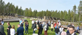 Ser en ljus framtid för solenergin i Sverige