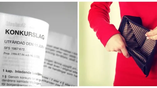 I Norrbottens län försattes 10 företag i konkurs under november. 