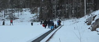 Jullov i Vitbergsbacken