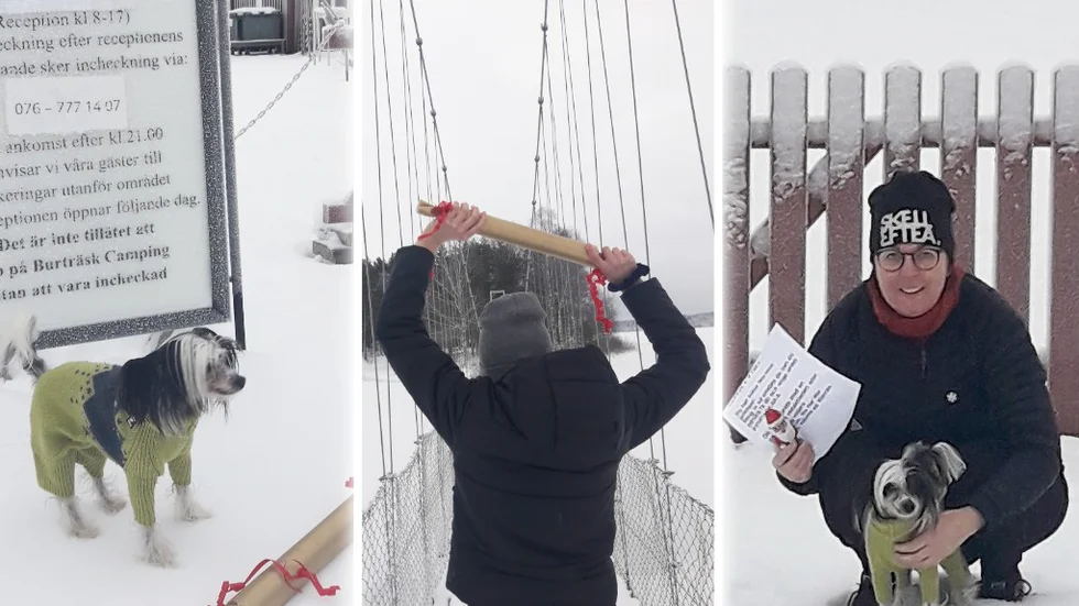 Julklappen hittades till slut under hängbron vid Burträsk Camping. Helene är till höger i bild.