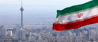 Gripna fransmän visas upp i iransk tv