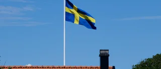 EU vill ta makten – Swexit, ja tack