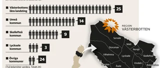 Grafik: Så ser verksamheten ut