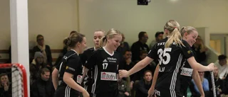Förlustsviten bruten för Linköping IBK